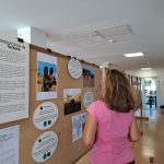 Fundación Rode - Exposición fotógrafica en el Polideportivo Municipal de Artajona