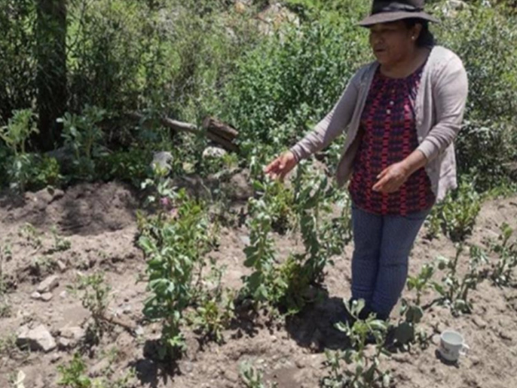 fundación rode MUJER Y VARÓN ORGANIZADOS Y EN EQUIDAD MEJORAN SALUBRIDAD EN PARAGUA