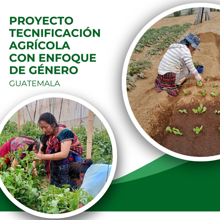 fundación rode Tecnificación-agricola con enfoque de género